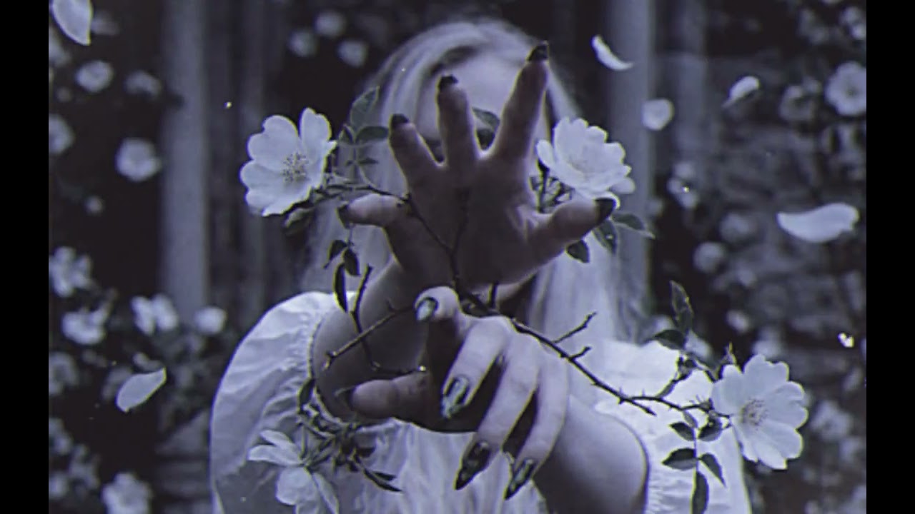± MDSP ± - Gillyflower 