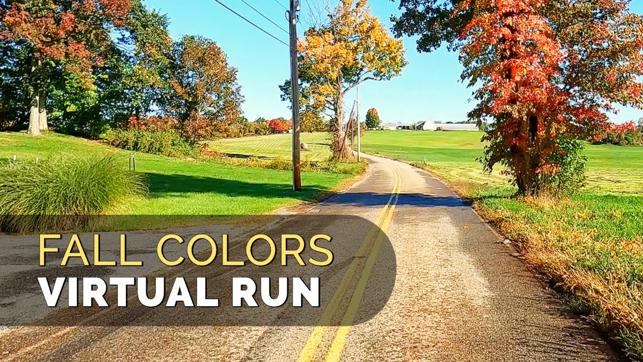 Beautiful Fall Day - Virtual Trail Run - New England