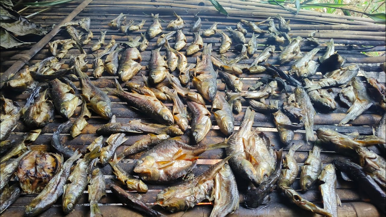 Fishing in the river with friends 