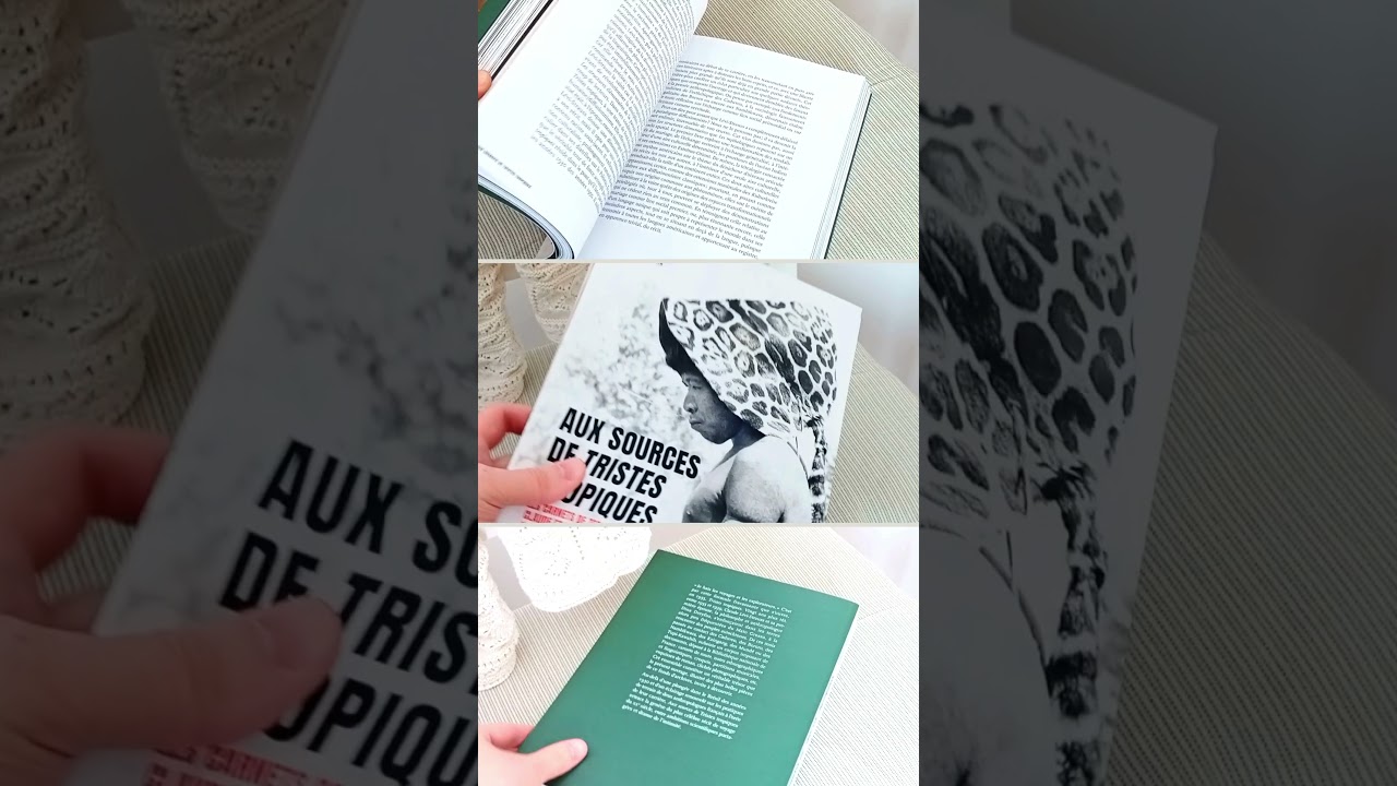 Nouvelle lecture 📚🌴 Vous connaissez ? #brasil #livre #booktube #avislecture #booktok #voyage #lire
