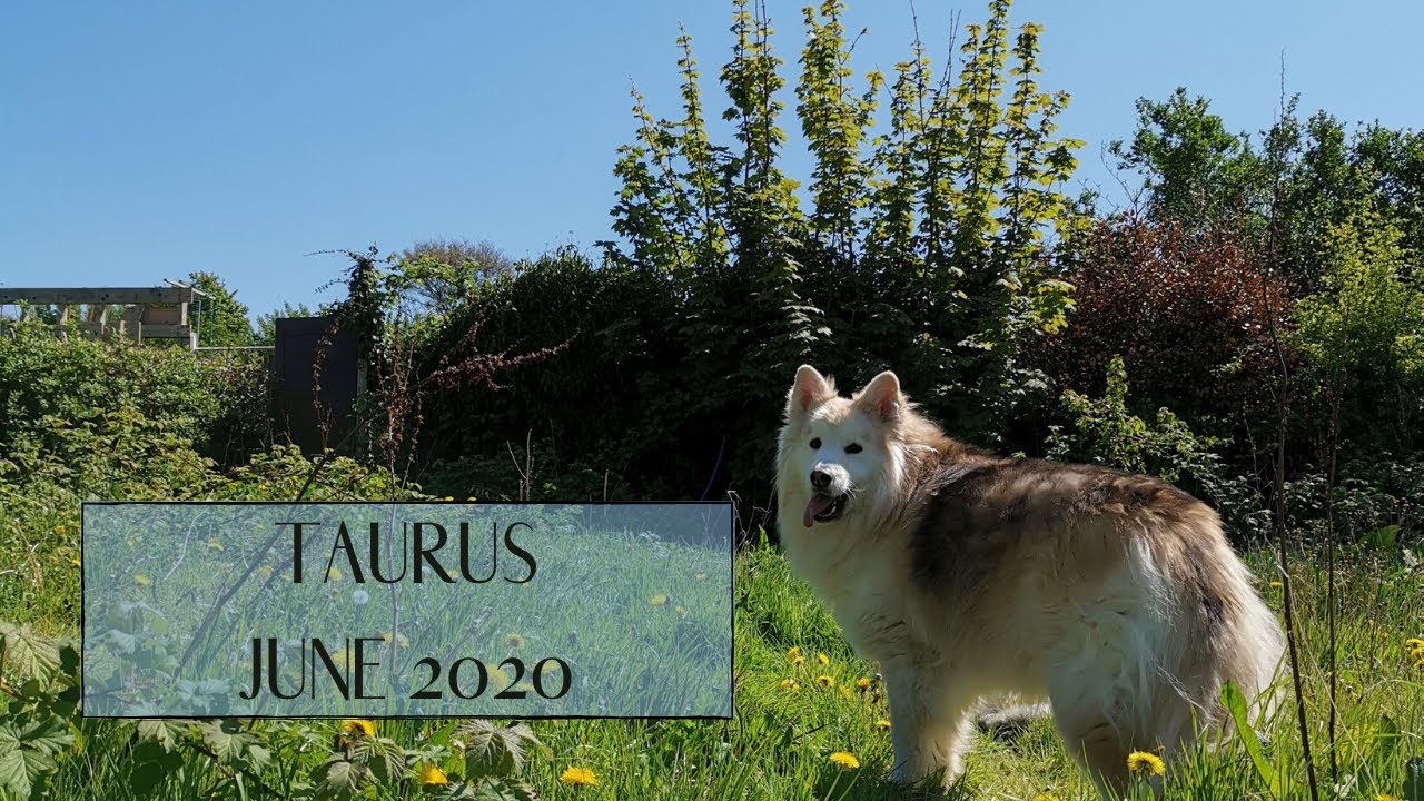 TAURUS || JUNE 2020 || As within, so without. The old cycle is finally closed, & the new awaits