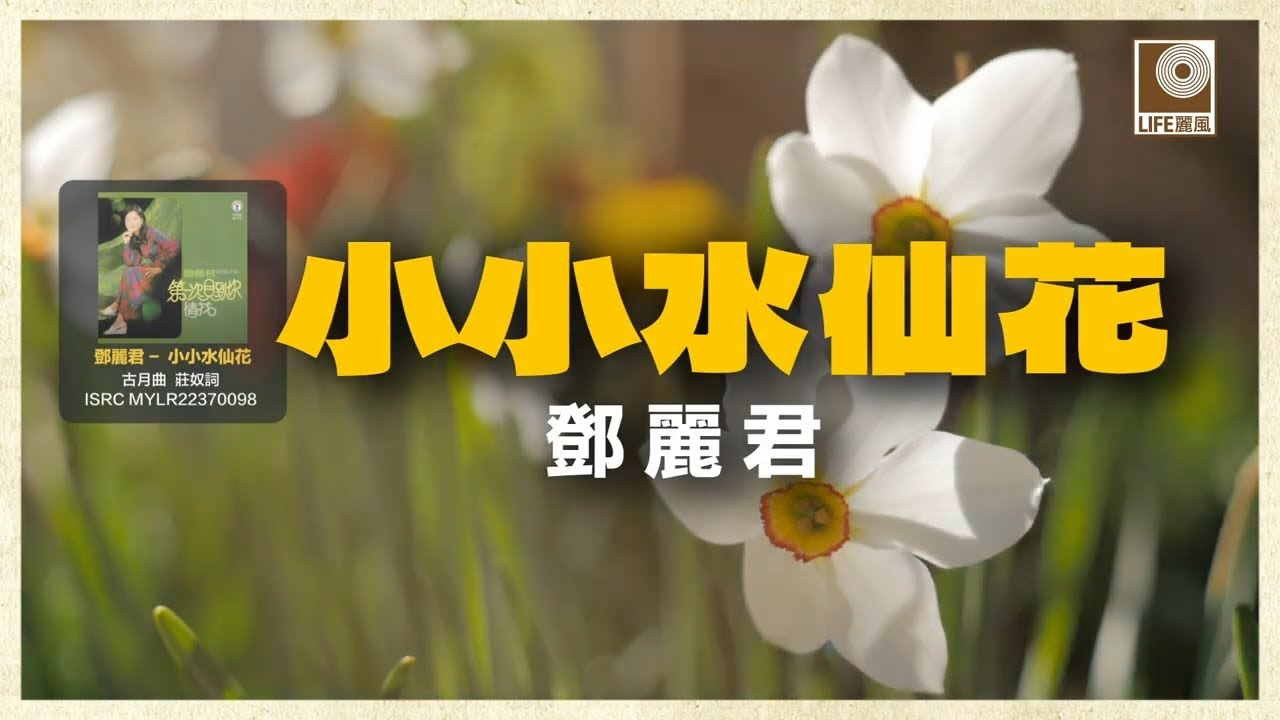 邓丽君 - 小小水仙花 (Official Lyric Video)