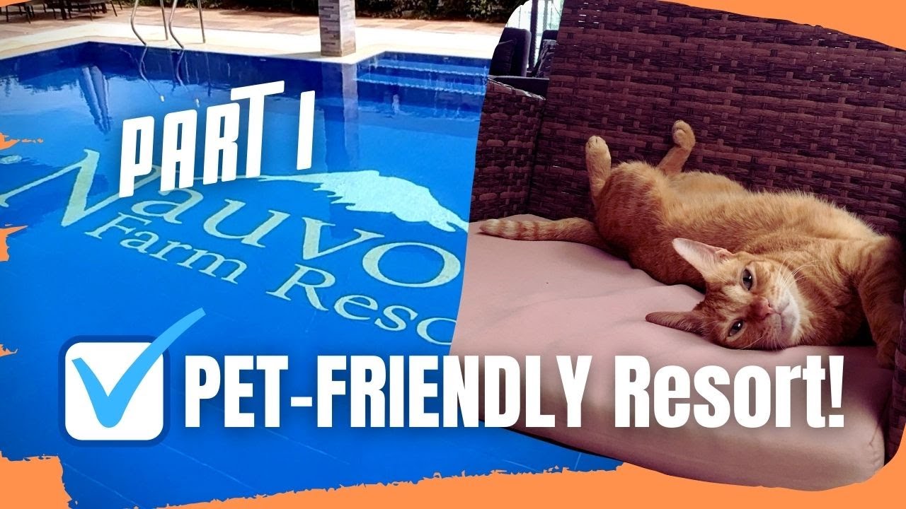 Nauvoo Farm Resort:  Pet-Friendly Resort in Pampanga, Philippines  #petfriendly