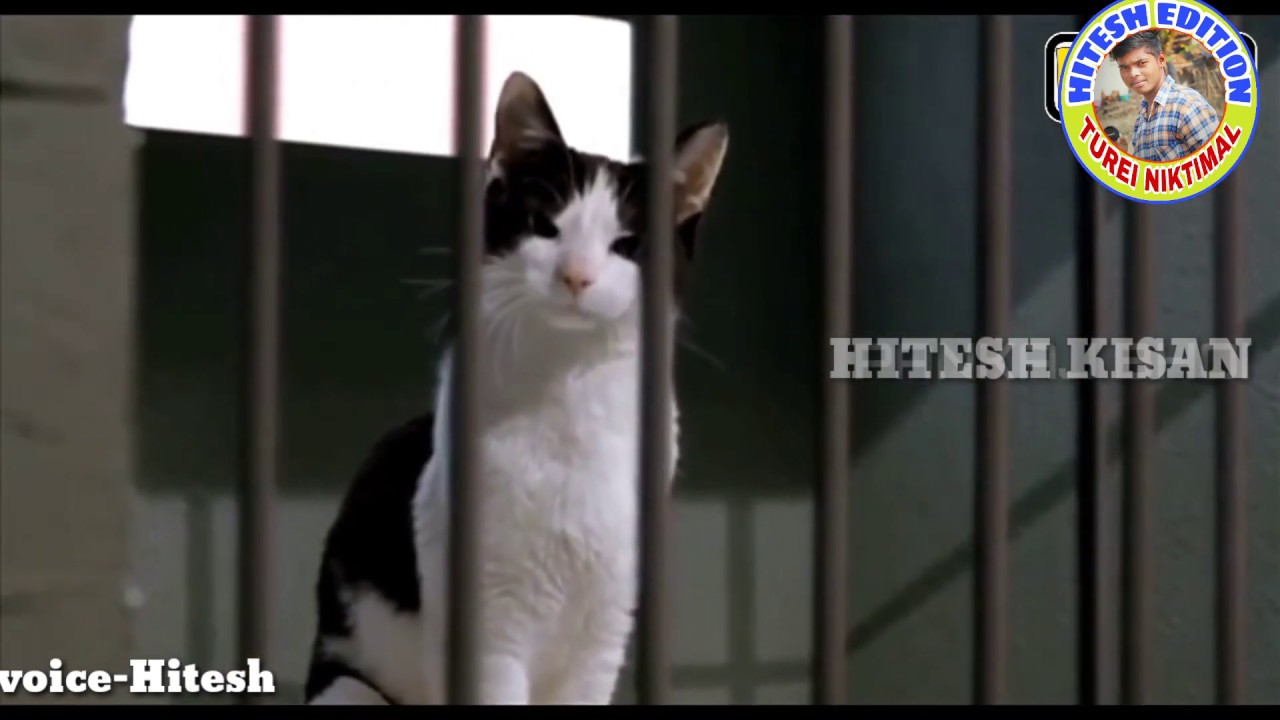 Funny Video //HITESH EDITION....... EDUCATION
