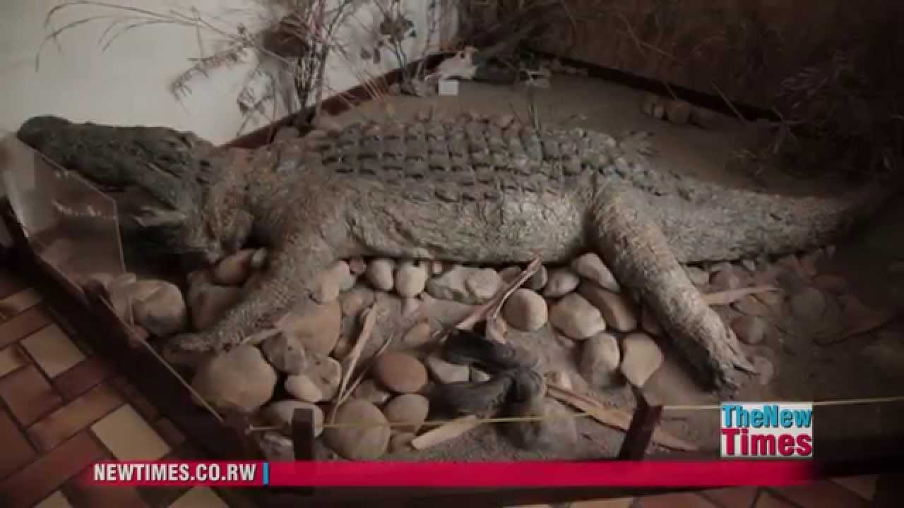 Exploring Rwanda’s museums and historical sites