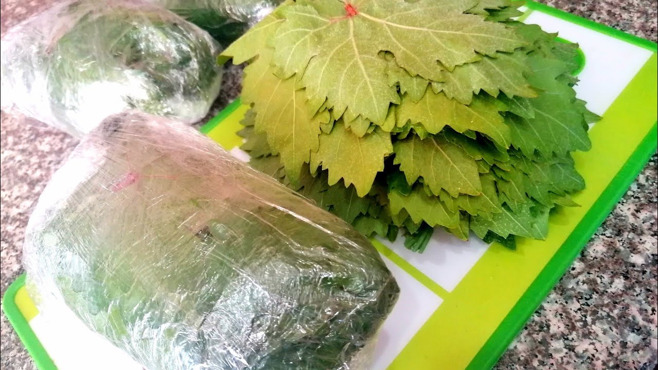 Самый лучший способ заготовки виноградных листьев на зиму👍