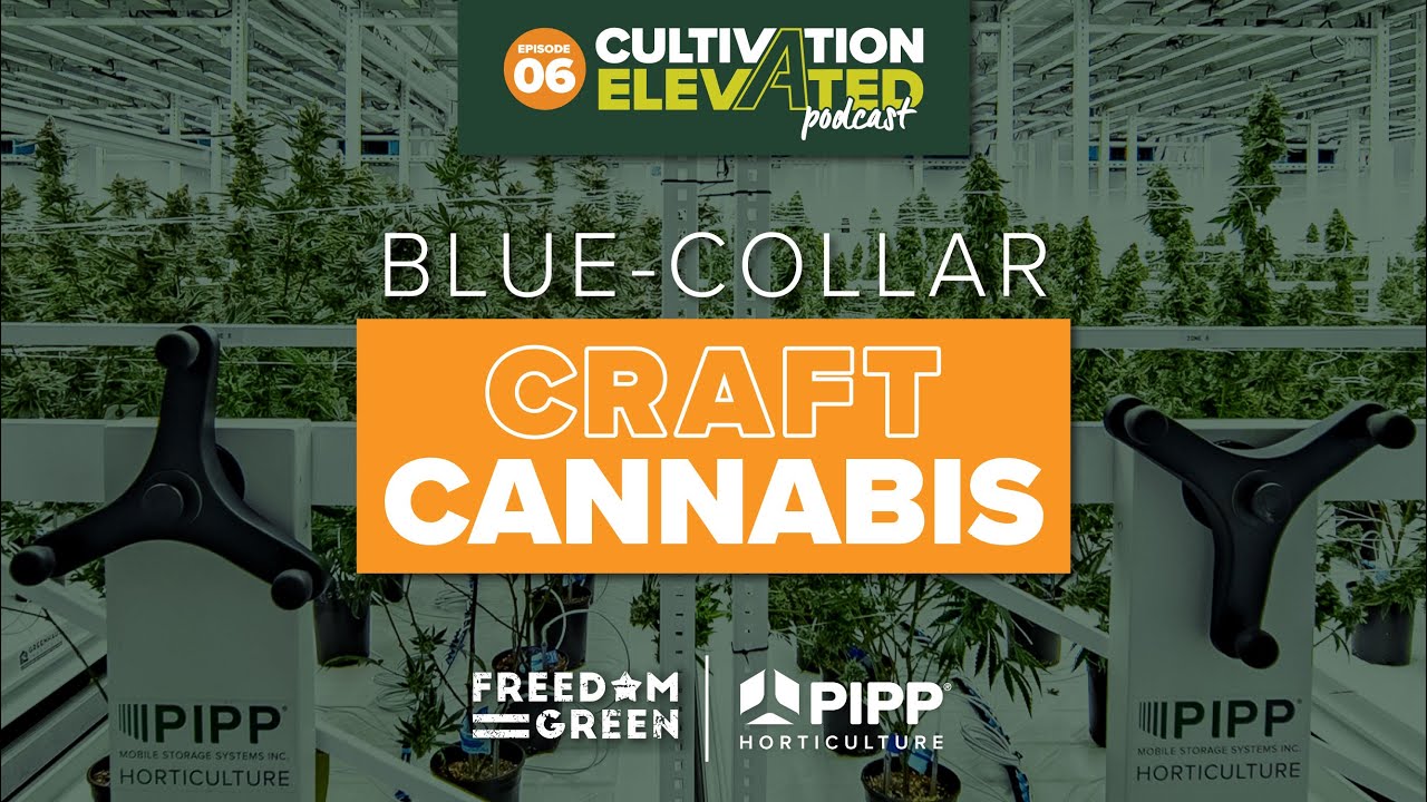 Blue Collar Craft Cannabis with Freedom Green Farms