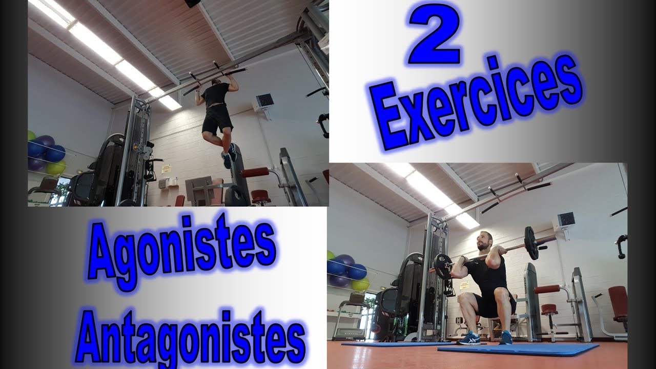 Cross training mouvements Agonistes   Antagonistes