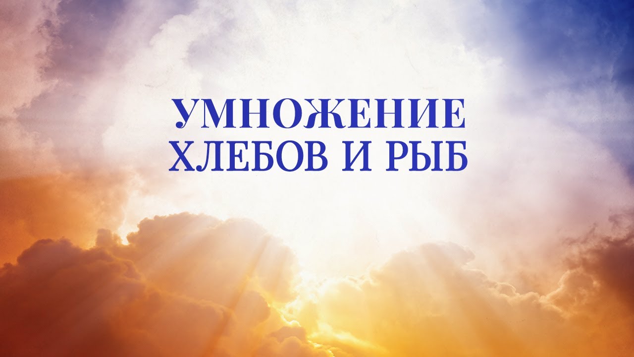 6. Умножение хлебов и рыб. Серия 