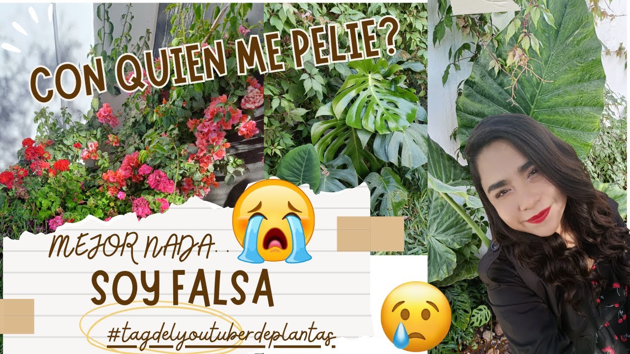 SOY UNA FARSA Y FINJO // NO SOY BUENA JARDINERA #tagdelyoutuberdeplantas