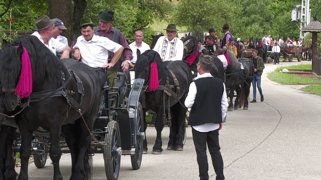 Caii Bucovinei în așteptarea maestrului FLORIN PIERSIC Putna 2 iulie 2021
