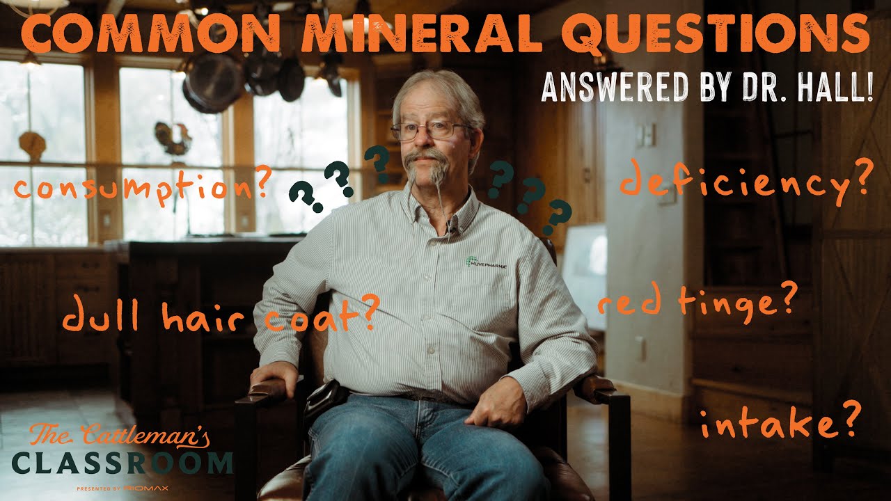 Dr. Hall Answers the Most Common Cattle Mineral Questions!