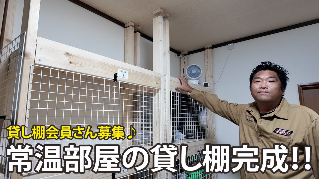 【貸し棚完成！】常温部屋の貸し棚が完成しました！社長がご案内します♪