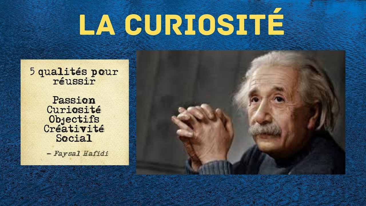 #1 La curiosité