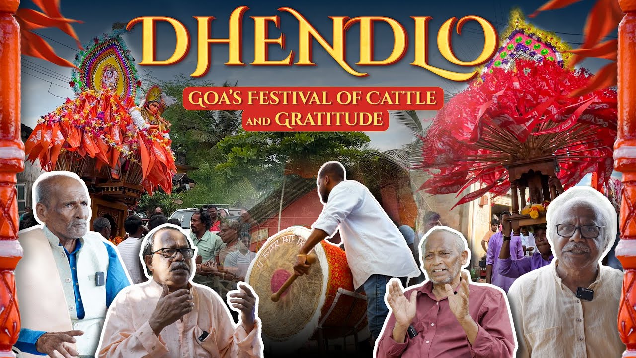 Dhendlo | Goa&rsquo;s Festival of Cattle, Light & Gratitude | Goa Stories Special