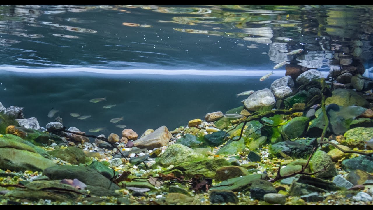 #BADC2019 / Taizi River Shallow Riverbank Area of Benxi City Liaoning Province, China, 288 L