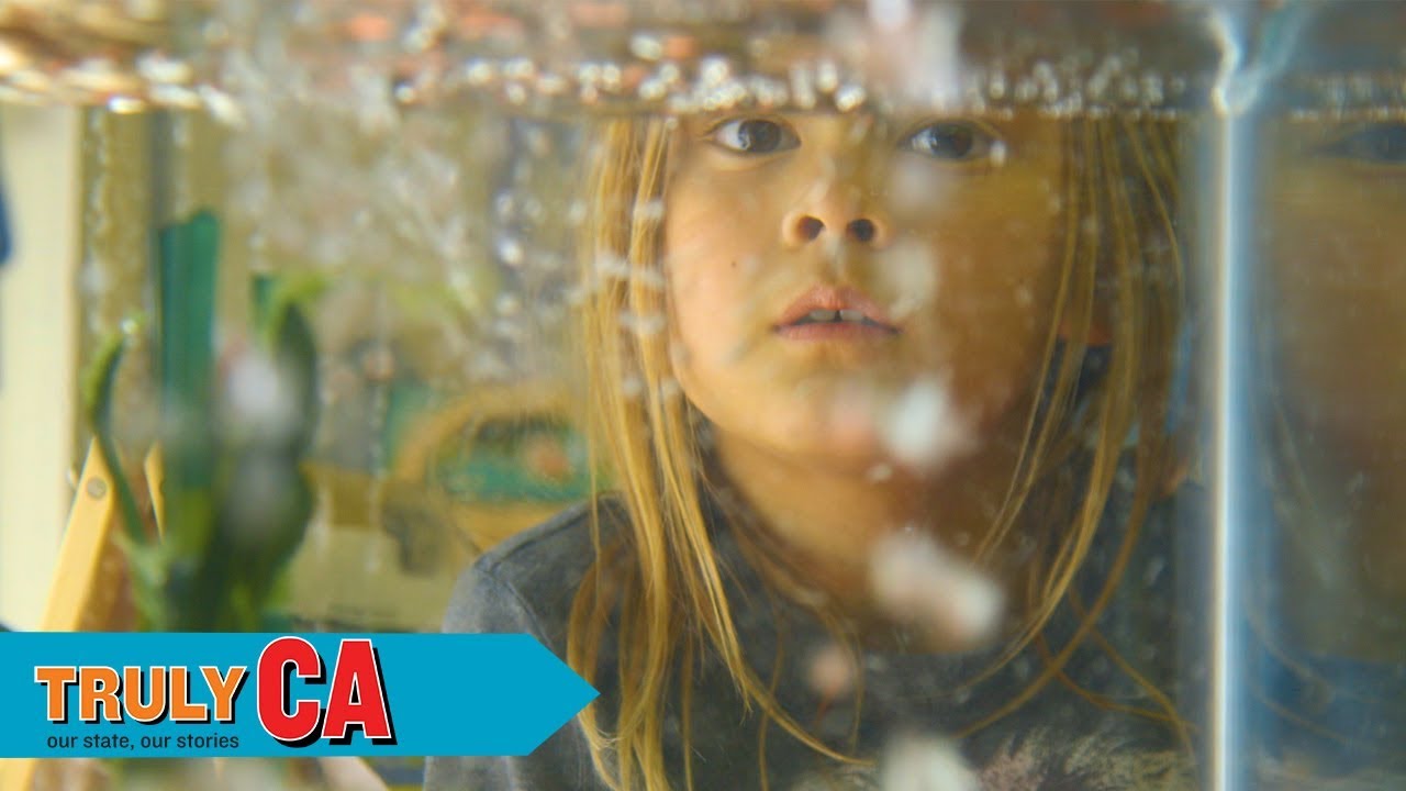 A View From the Window | KQED Truly CA