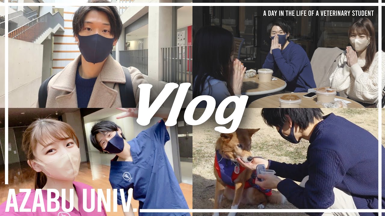 【Vlog】獣医学生の1日🌱麻布大学｜大学生の日常｜A Day in The Life of a Vet Student