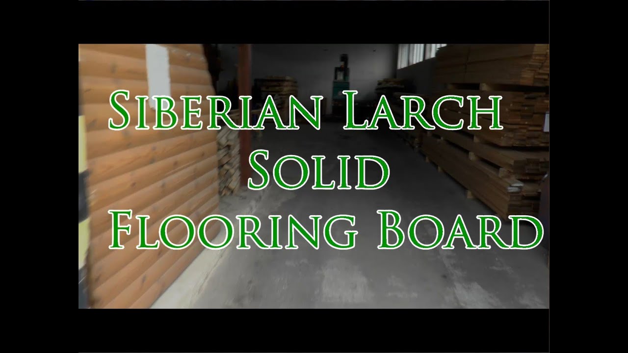 Siberian Larch  Solid Flooring Board