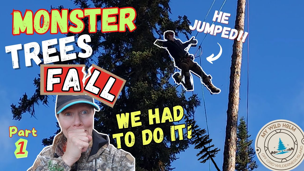 Experts Fall Dangerous Monster Trees | MY WILD HOLM - S2 Ep41