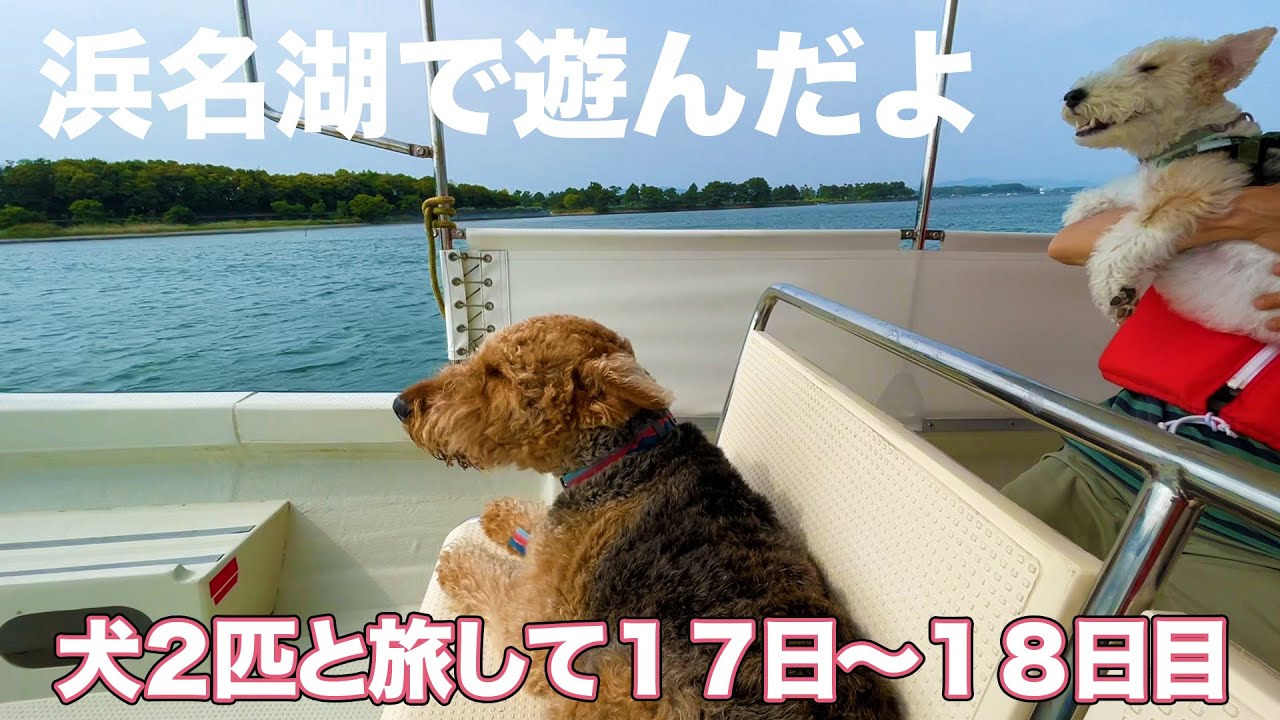 浜名湖ガーデンパークでお友達と遊んで、鈴鹿で大会に出てた姉妹犬に会いに行ったよ【1人と2匹旅：17日〜18日目】
