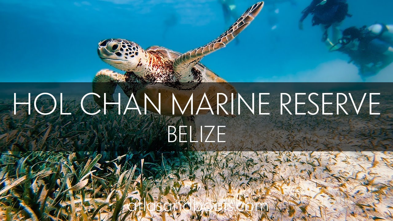 Diving the Hol Chan Marine Reserve, Belize