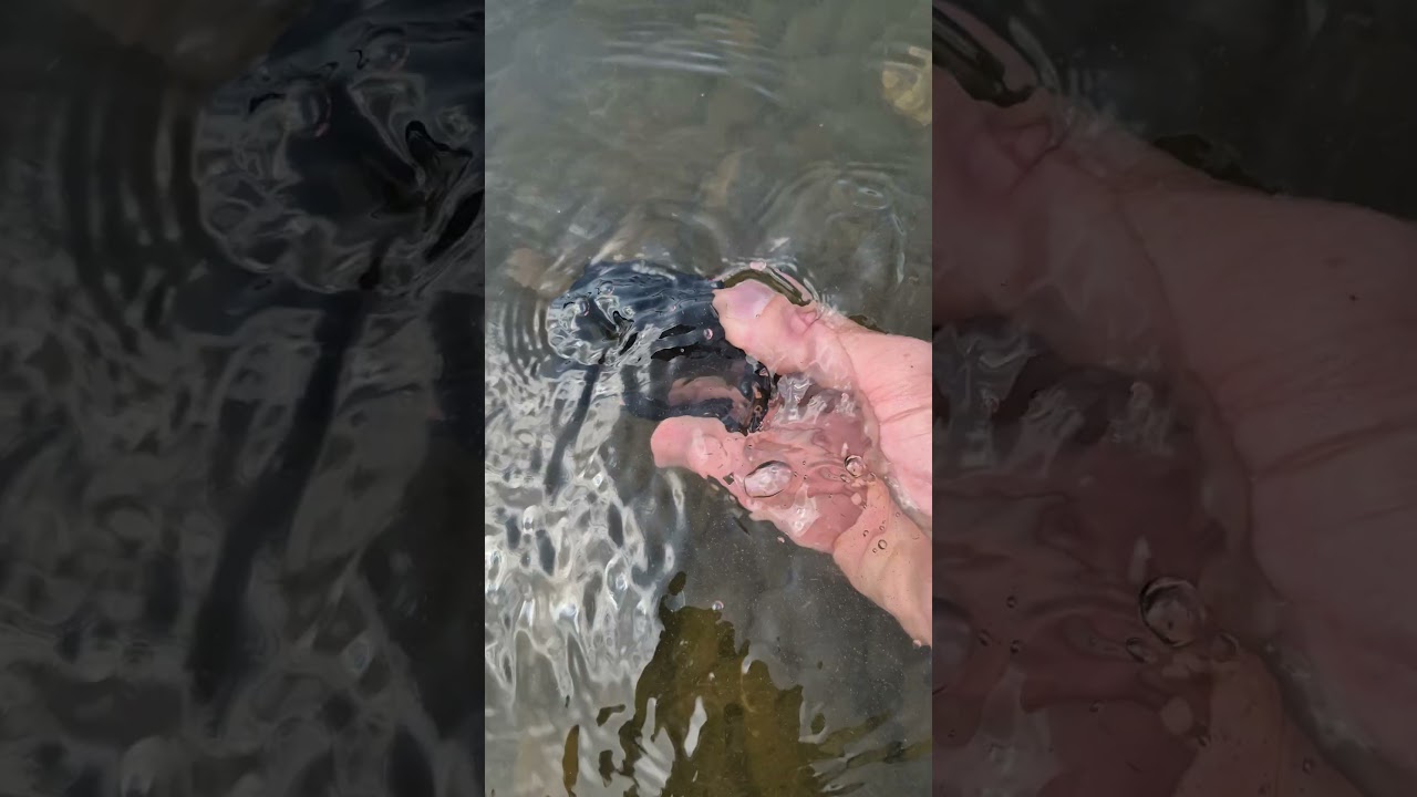 Osmo Action 5 Pro waterproof test.