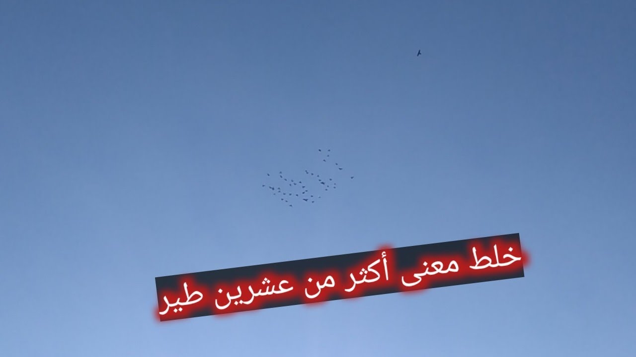 كشينى الحمام ع الموعد شوفو شو صاار معنى////فيديو نار🔥🔥🔥🔥