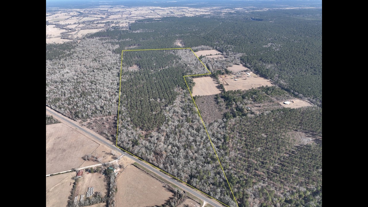 124 Acres | Highway 287 | Trinity Co., Texas