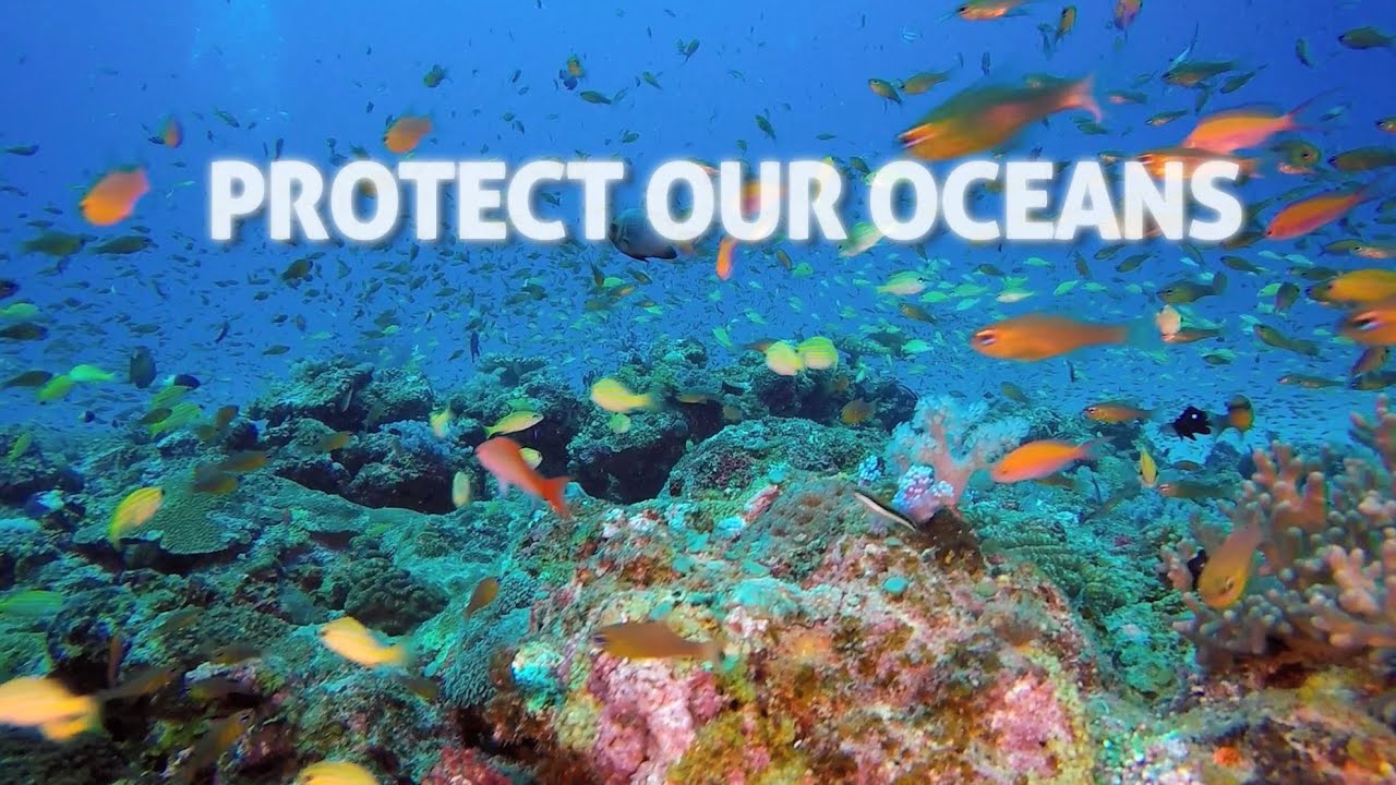 Protect Our Ocean