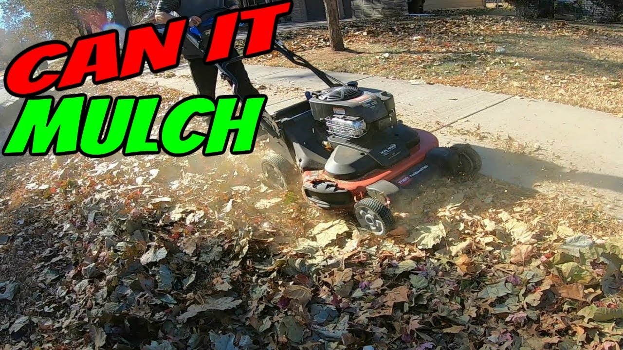 Can Toro Timemaster Mulch Leaves