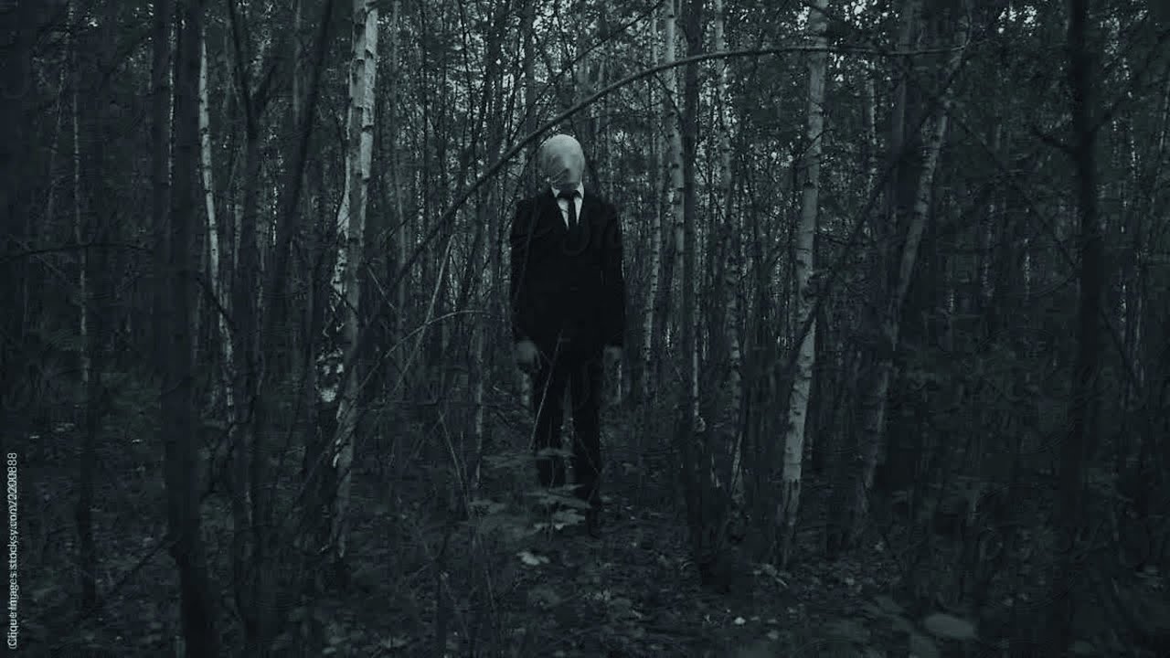6 Forest Encounters That Were Never Meant To Be Caught On Camera