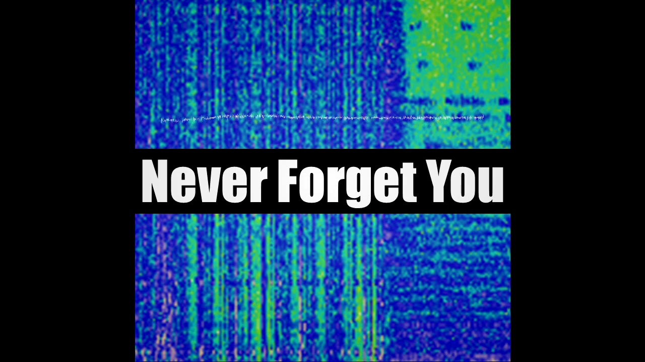 WAN - Never Forget You | Electro House
