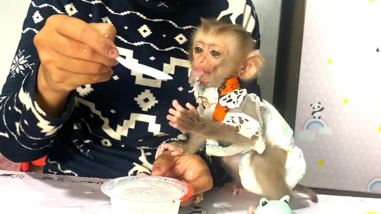 So delicious!! Little LIORA is so cute, enjoy the jelly because she likes it very much