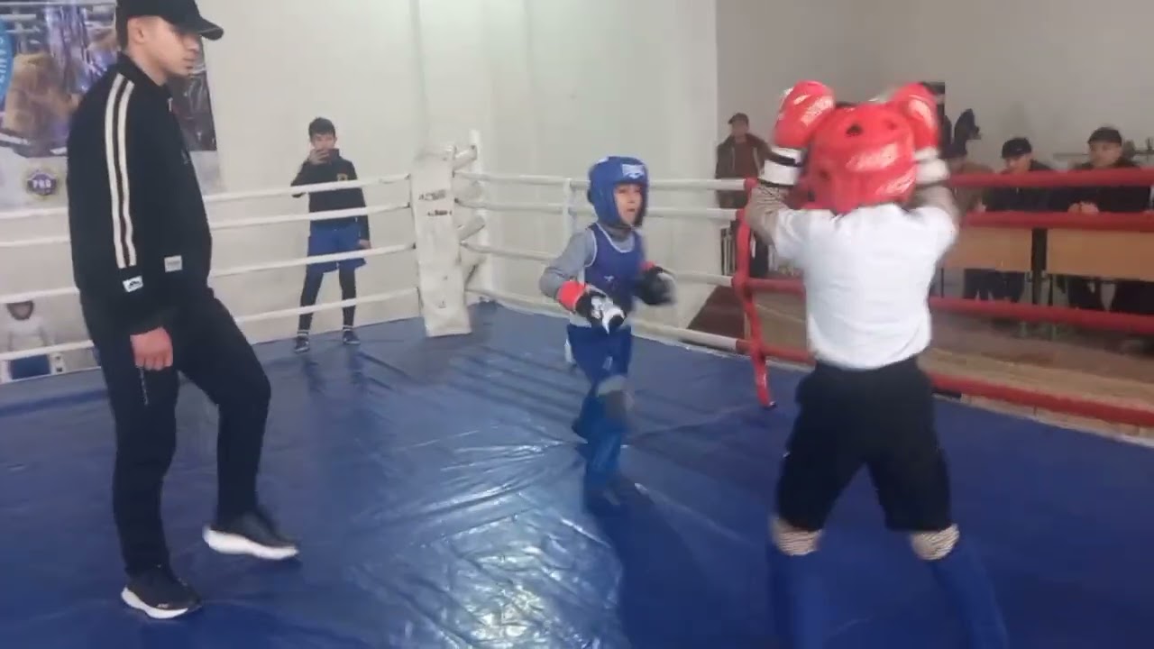 11 февраля 2026 г.