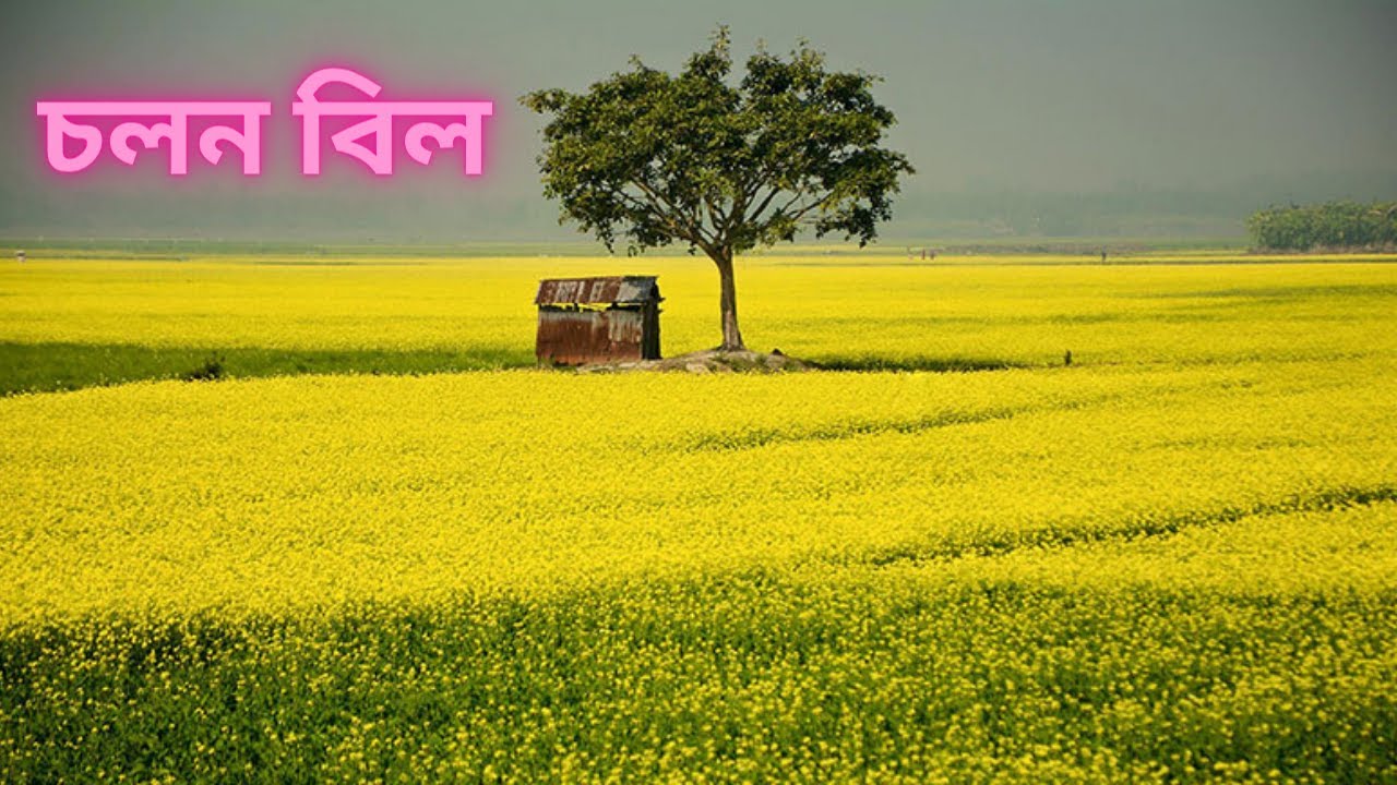 Chalan Beel (চলন বিল ) is one of the richest wetland areas of Bangladesh