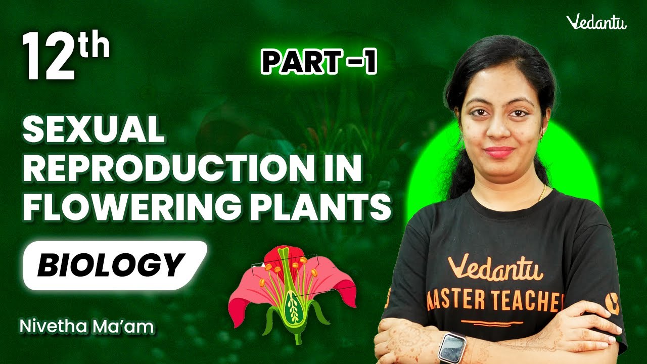 Sexual Reproduction in Flowering Plants | Part -1 | Class 12 Biology | CBSE 2025 | Nivetha ma'am