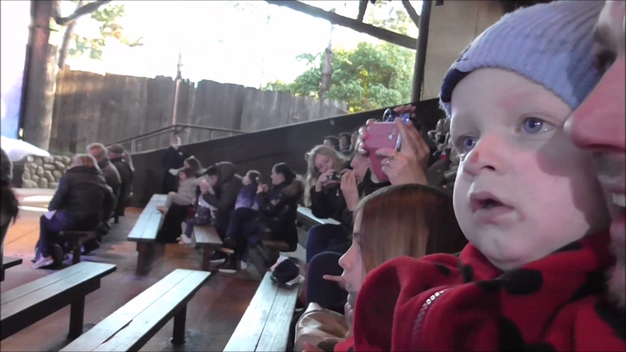 Frozen Sing a Long 2