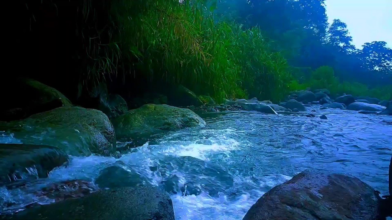 🌊 Peaceful River Valley ASMR Sounds for Deep Sleep, Relaxation & Anxiety Relief