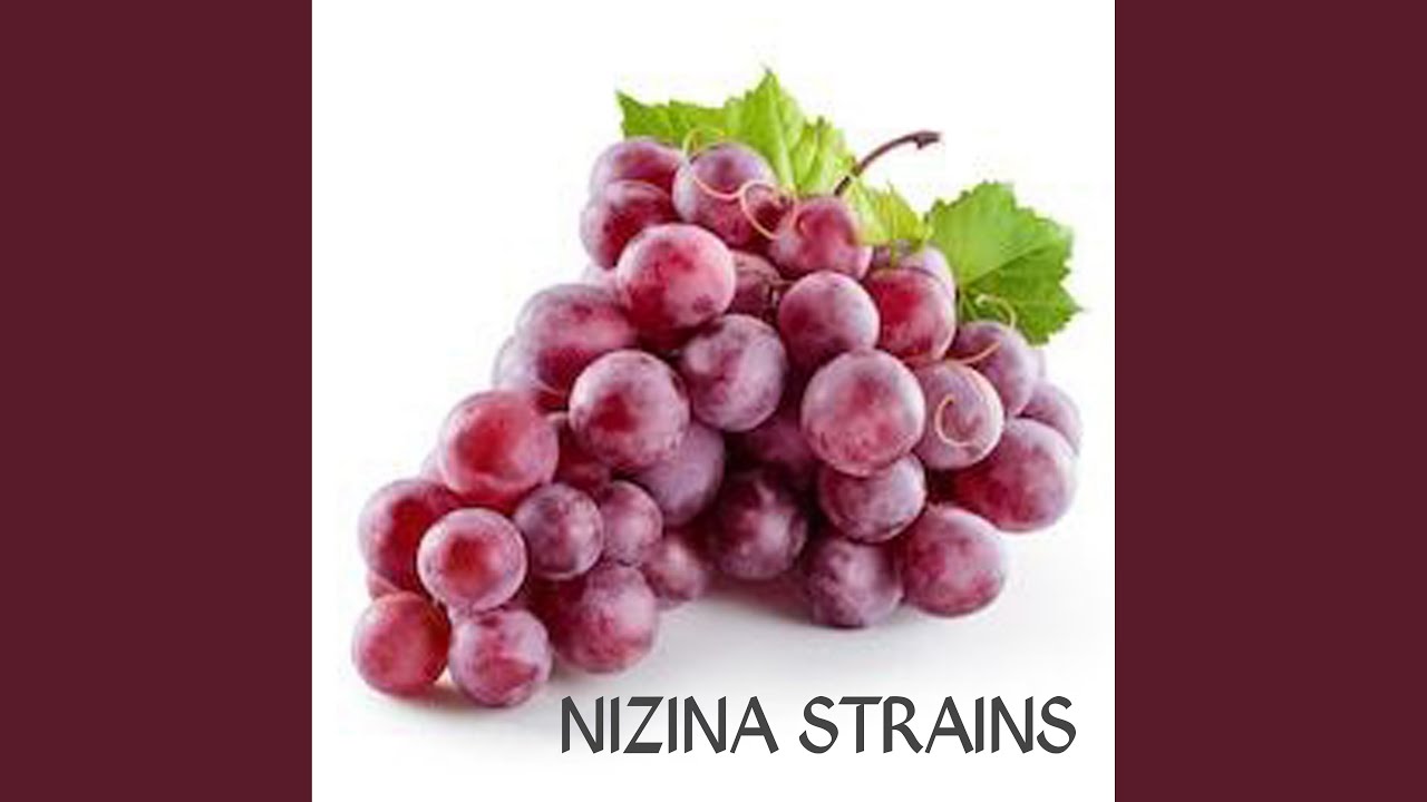 Nizina Strains