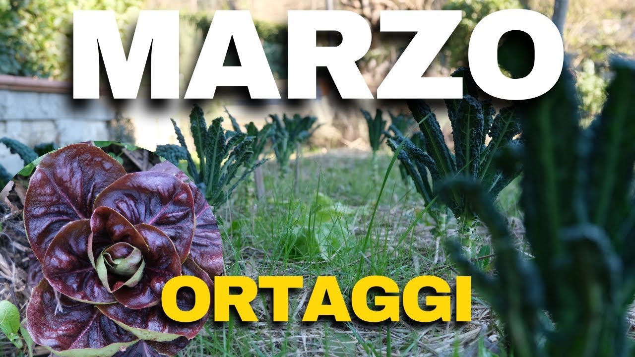TOUR NELL'ORTO A MARZO