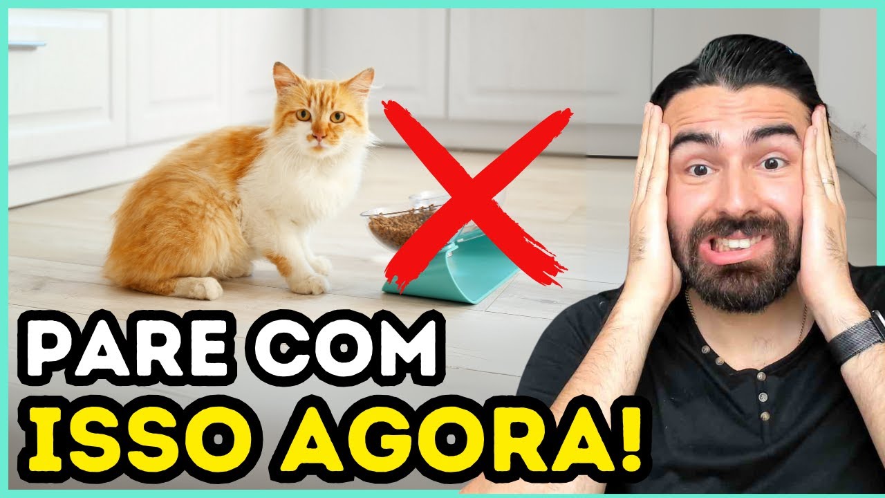 Se Você Ainda Faz ISSO Com Seu Gato, Você Está DESATUALIZADO!
