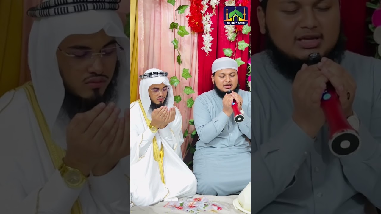 হাফেজ মাওলানা ওমায়ের হোসাইন মাহমুদীর বিয়ে সম্পন্ন হলো #আমিন #viralvideo 