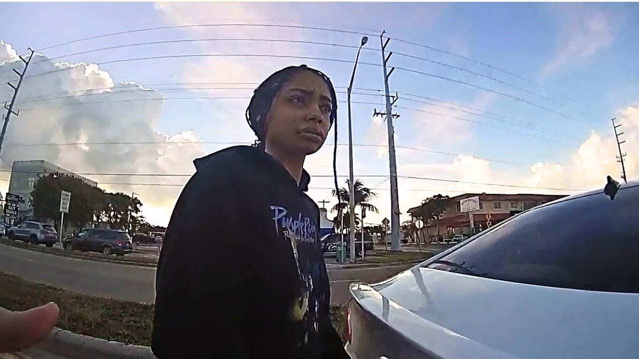 Simple Traffic Stop Turns Into Sudden DISASTER