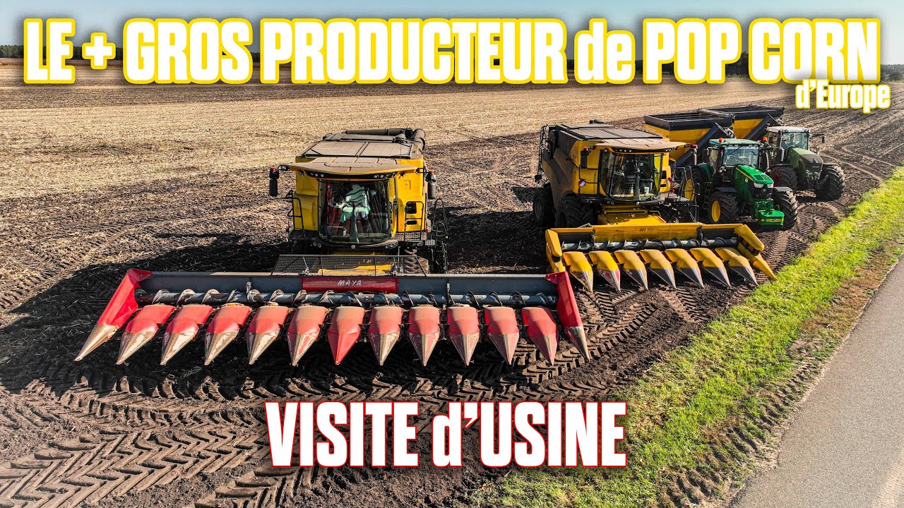 😱🌽 Le + GROS PRODUCTEUR d'EUROPE de MAÏS POP CORN : VISITE USINE & Moisson du MAÏS en 20 RANGS 💨