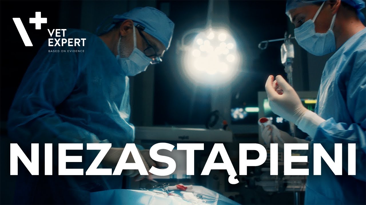 VET EXPERT I Niezastąpieni - z dedykacją dla lekarzy weterynarii