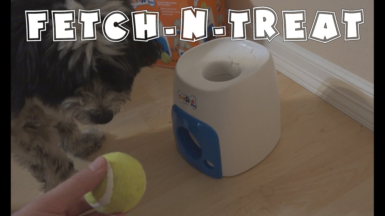 Fetch-n-Treat Review- Toys R Us Pets | EpicReviewGuys CC