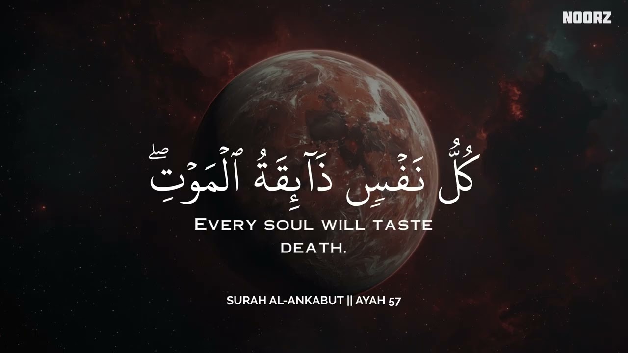رح سمعك وقلبك بالقرآن❤️🎧 وأستمع لتلاوة هادئه بصوت محمد هشام | راحة نفسية😌 | Mohamed Hesham