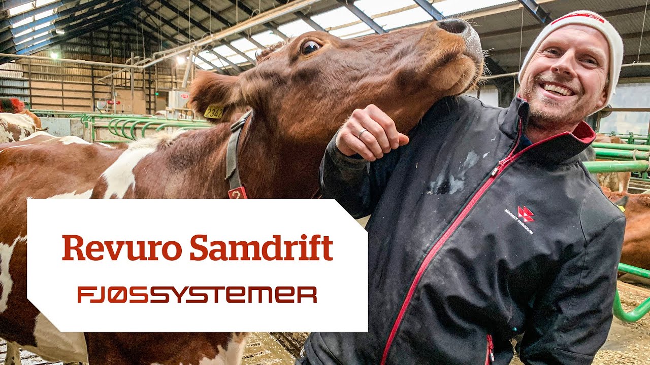 Revuro Samdrift: Økt melkeproduksjon med melkerobot