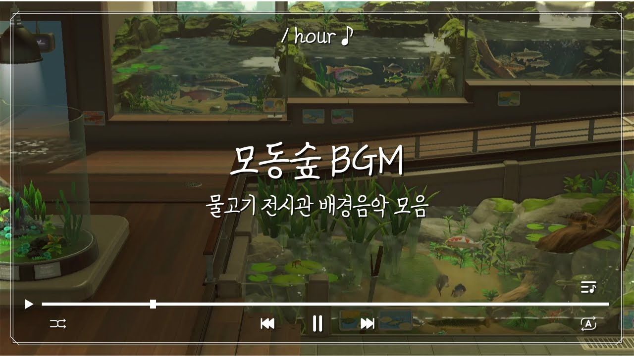 🐠모동숲 물고기 전시관 브금 모음(1 hour)